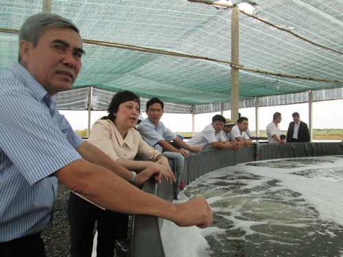 Đưa thủy sản đạt chuẩn xuất khẩu tiêu thụ tại TP HCM