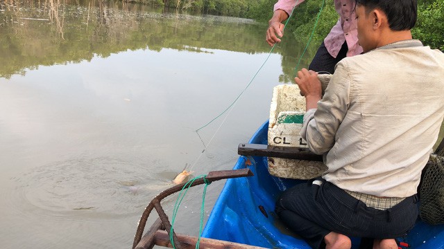 Săn cá ngát đêm ở Sài Gòn - Ảnh 7.