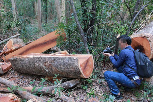 Xâu xé rừng Yók Đôn: Tấn công tứ phía