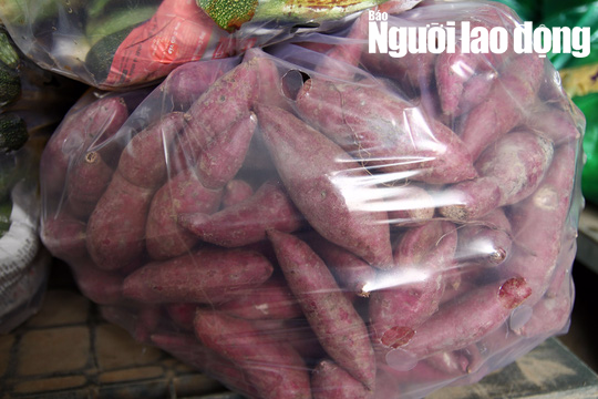 Cận cảnh hơn 40 tấn hoa, rau Đà Lạt gửi tặng Trường Sa - Ảnh 4.