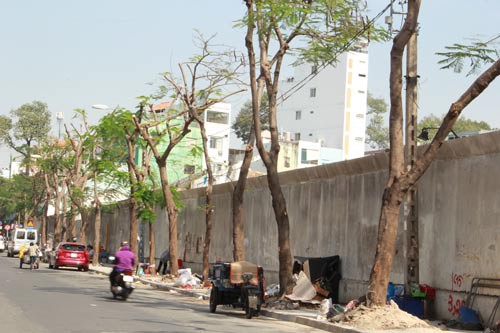 Công trình hạ tầng hại chết cây xanh