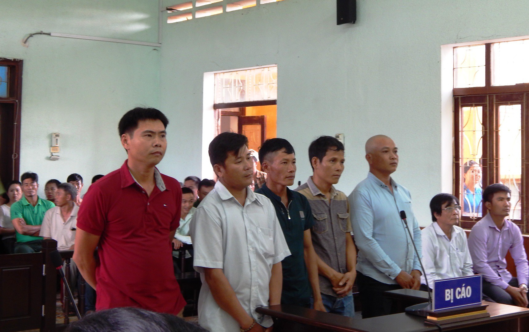 Đ&igrave;nh chỉ vụ &aacute;n bi h&agrave;i cưa c&acirc;y kh&ocirc; bị buộc tội trộm cắp t&agrave;i sản - Ảnh 2.