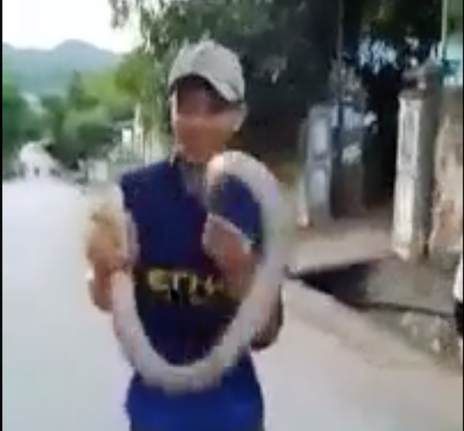 Rùng mình cảnh nam thanh niên dùng tay không bắt rắn hổ mang chúa