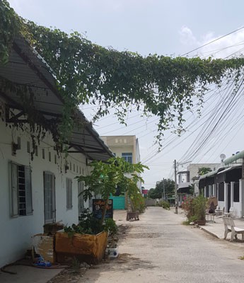 Cần Thơ: Xử lý sai phạm về quản lý đất đai - Ảnh 1.