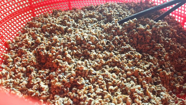 Bún hến Mai Xá, đặc sản vạn người mê - Ảnh 3.