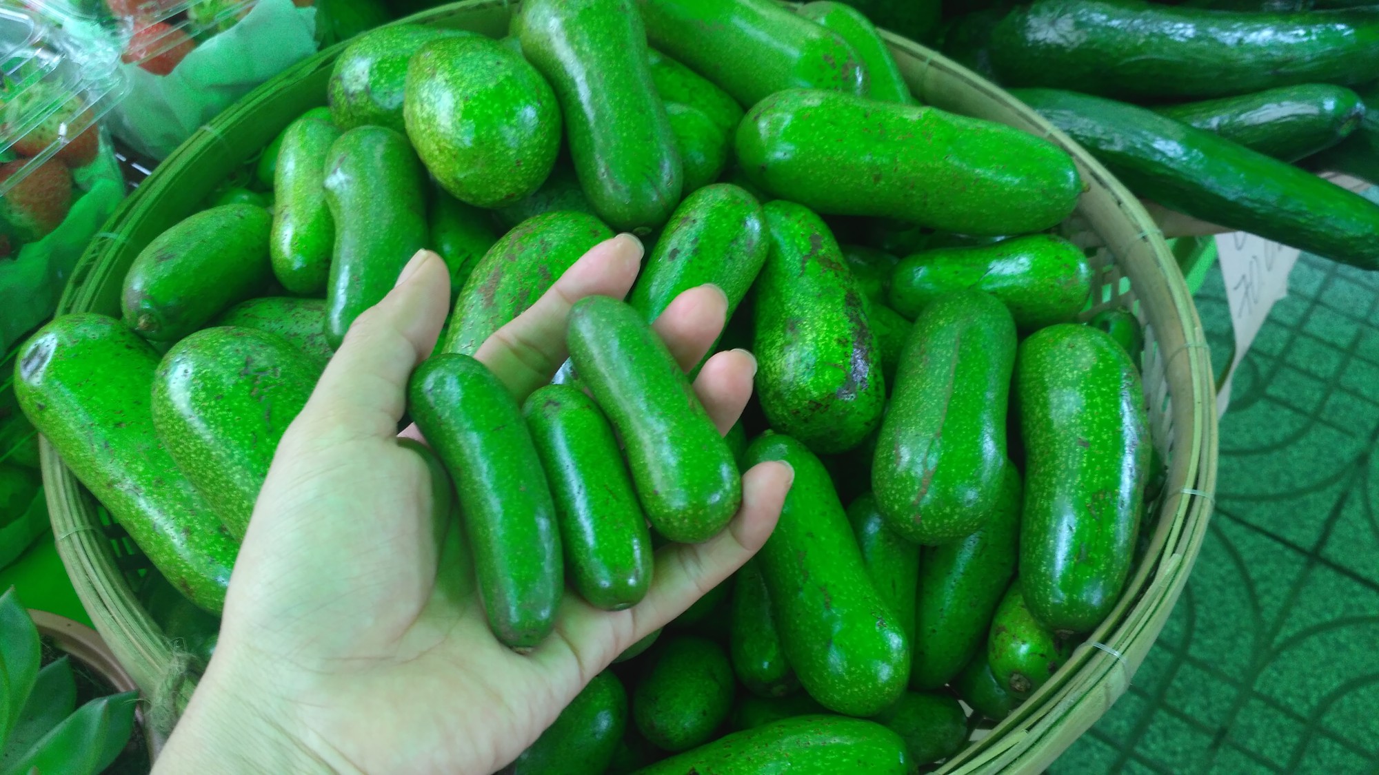 "Siêu phẩm" bơ tí hon không hạt khiến người tiêu dùng trố mắt