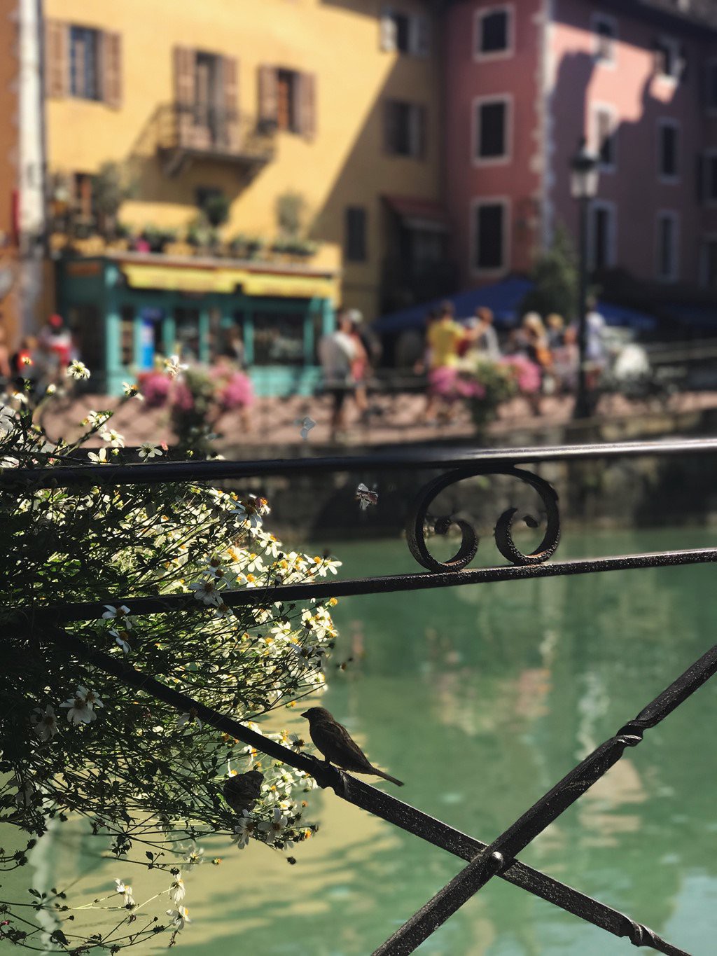 Kh&aacute;m ph&aacute; Annecy &ndash; &lsquo;Venice của nước Ph&aacute;p&rsquo; - Ảnh 9.