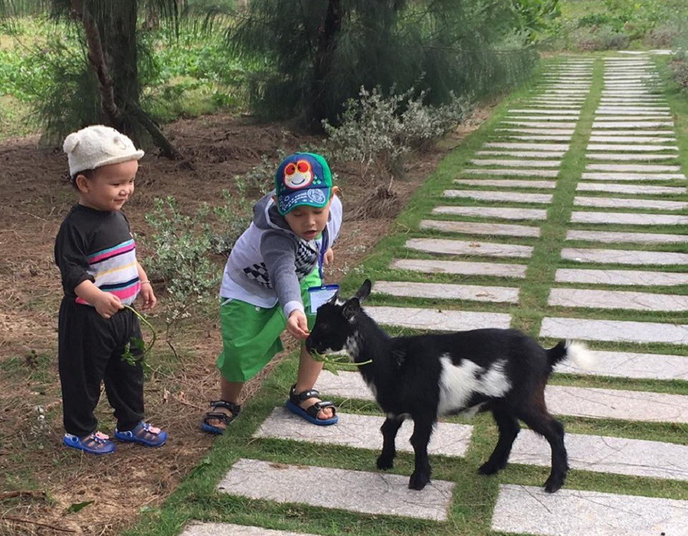 Một mùa hè lý thú với Happy Family từ FLC - Ảnh 6.