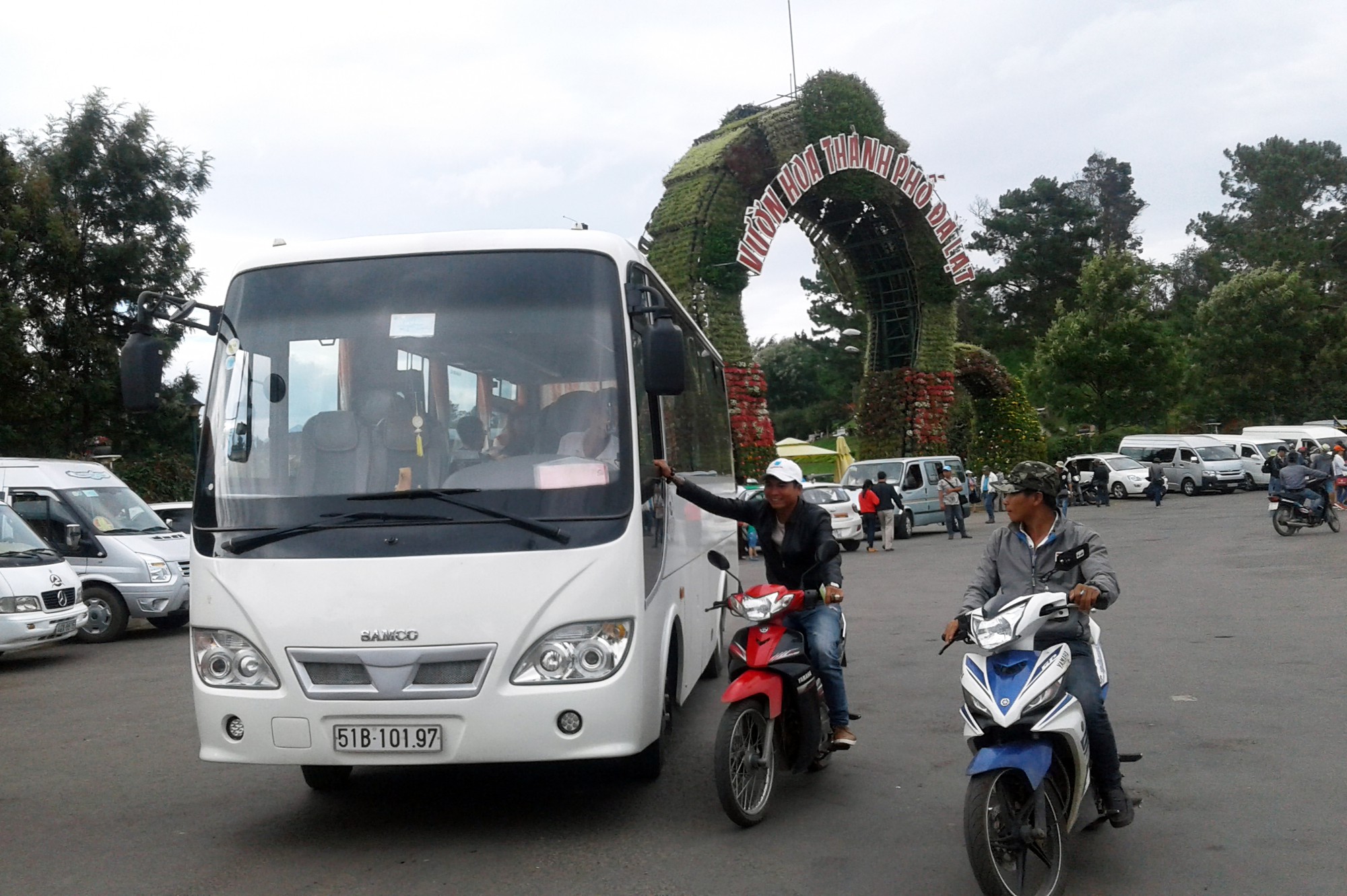 “Cò đặc sản” Đà Lạt lại bùng phát
