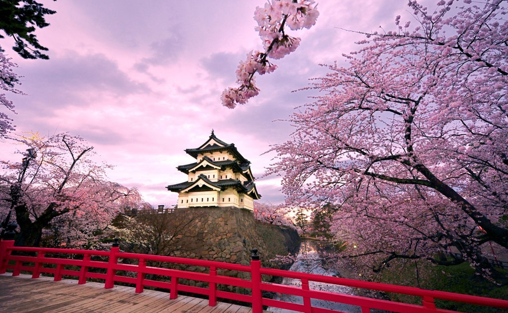 Những l&yacute; do bạn phải tới Osaka một lần trong đời - Ảnh 5.