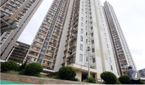 Tình nguyện "nộp" 255.000 USD để giữ vali giấy lộn suốt 3 năm