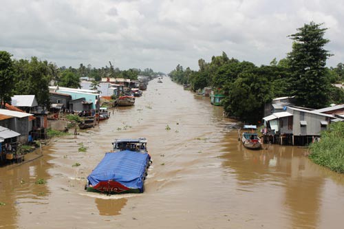 Bình Thành không còn sợ mặn
