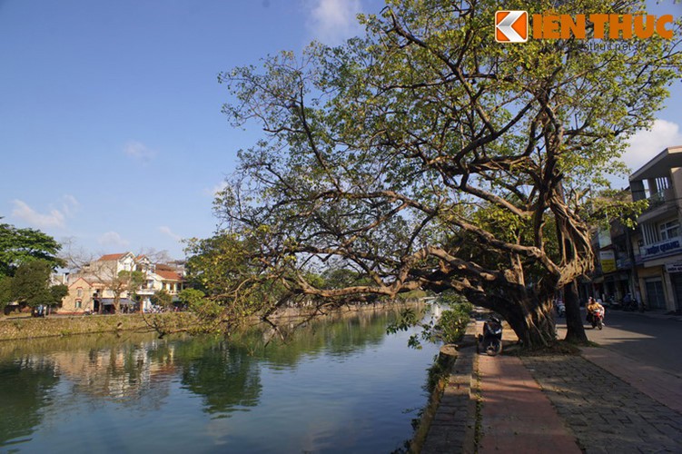 Kh&aacute;m ph&aacute; vẻ đẹp đậm chất Huế của s&ocirc;ng Đ&ocirc;ng Ba - Ảnh 12.