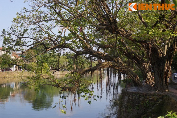 Kh&aacute;m ph&aacute; vẻ đẹp đậm chất Huế của s&ocirc;ng Đ&ocirc;ng Ba - Ảnh 17.