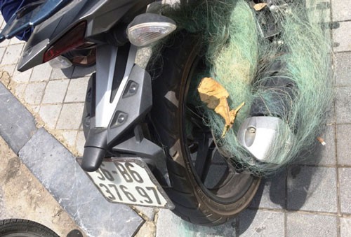 Quăng lưới bắt xe: Nên hay không?