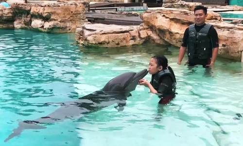 Lịch tr&igrave;nh ba ng&agrave;y kh&aacute;m ph&aacute; đảo Sentosa của Singapore - Ảnh 4.