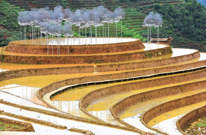 Nghệ thuật sắp đặt: Giấc mơ ngắn đẹp đẽ