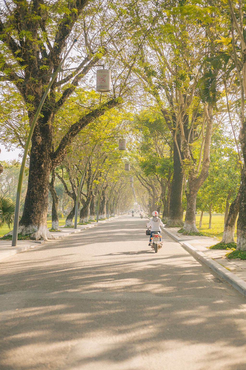 9X An Giang và chuyến khám phá Huế chỉ trong một ngày - Ảnh 4.