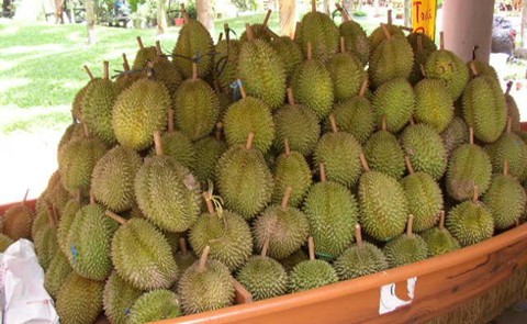 Bầu Đức tuyên bố sẽ trồng sầu riêng, bơ