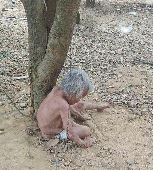 Cụ bà bị xích dưới gốc cây không bị bệnh tâm thần
