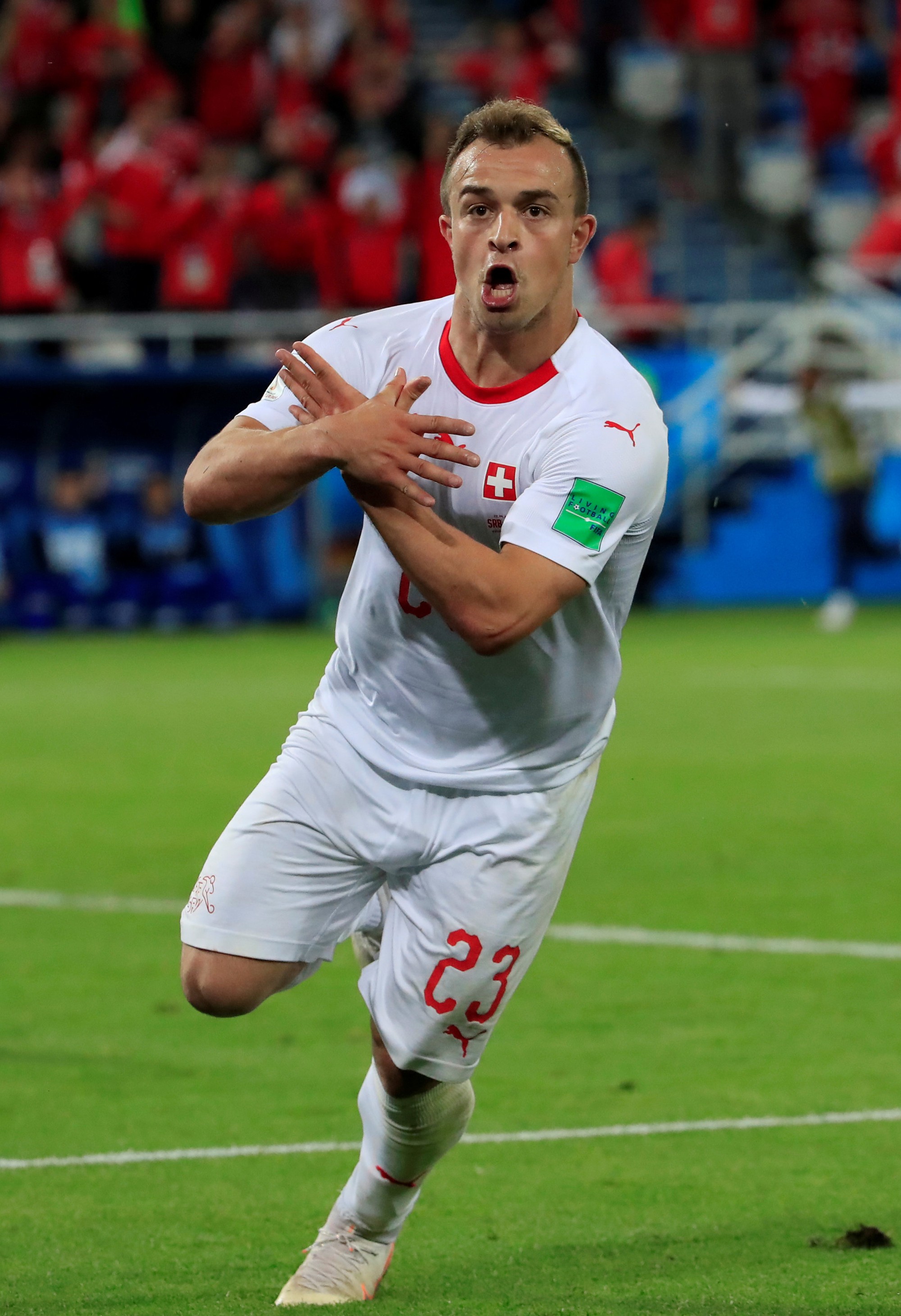 FIFA điều tra c&aacute;o buộc thi&ecirc;n vị trong thất bại của tuyển Serbia - Ảnh 4.