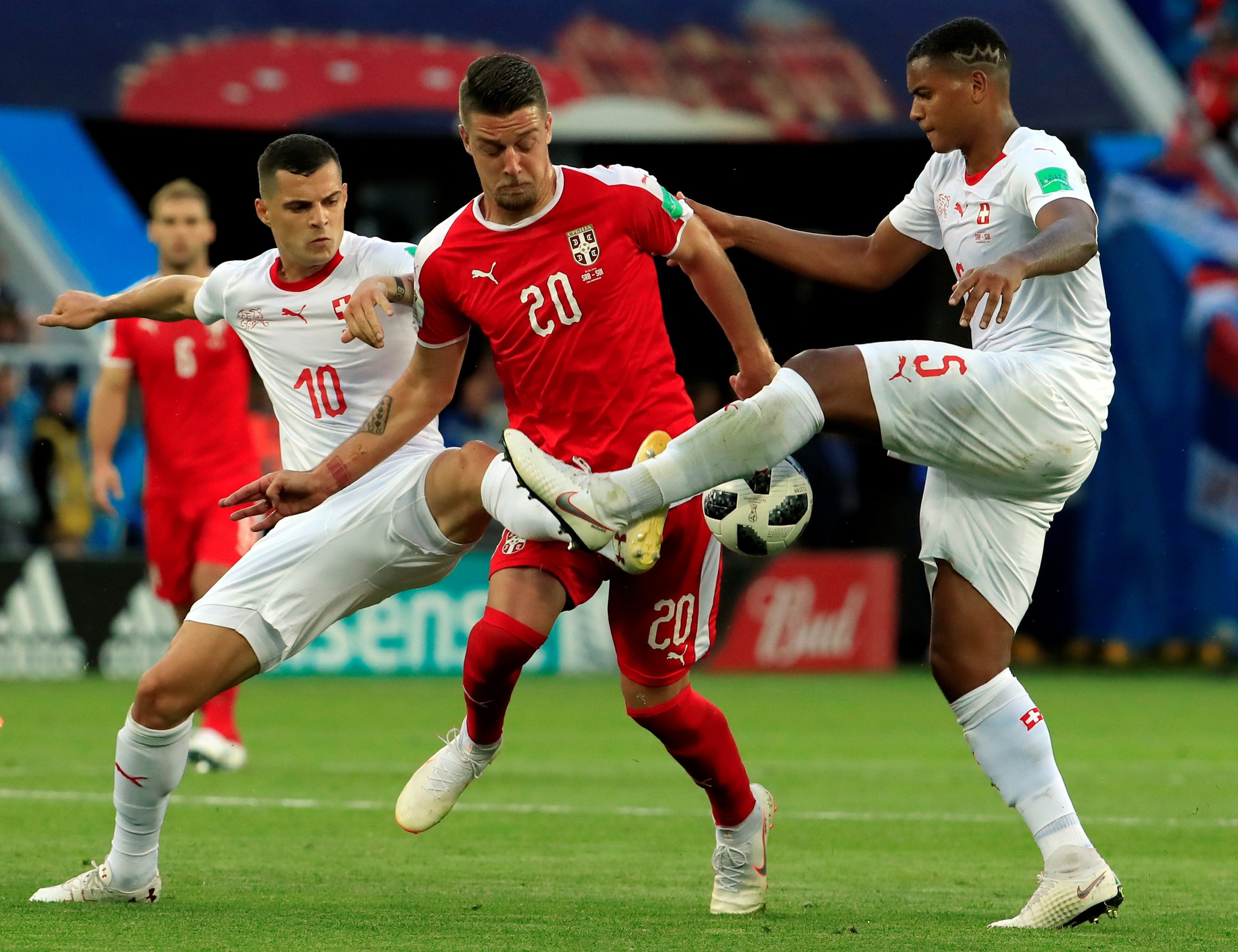 FIFA điều tra c&aacute;o buộc thi&ecirc;n vị trong thất bại của tuyển Serbia - Ảnh 1.