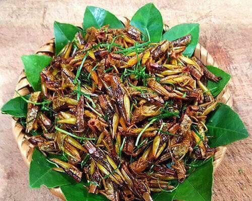 Ng&atilde; bổ ngửa với đặc sản c&ocirc;n tr&ugrave;ng v&ugrave;ng cao T&acirc;y Bắc - Ảnh 5.