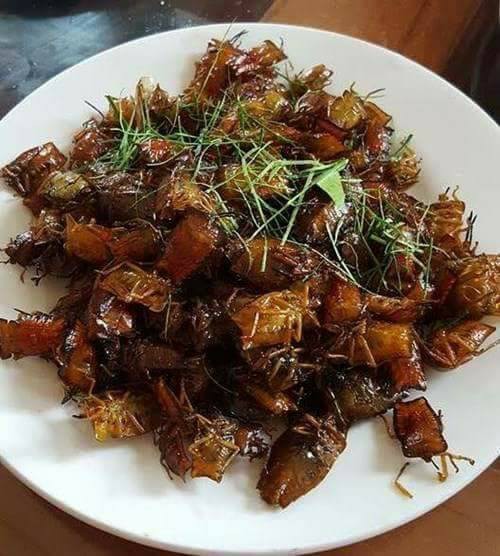 Ng&atilde; bổ ngửa với đặc sản c&ocirc;n tr&ugrave;ng v&ugrave;ng cao T&acirc;y Bắc - Ảnh 3.