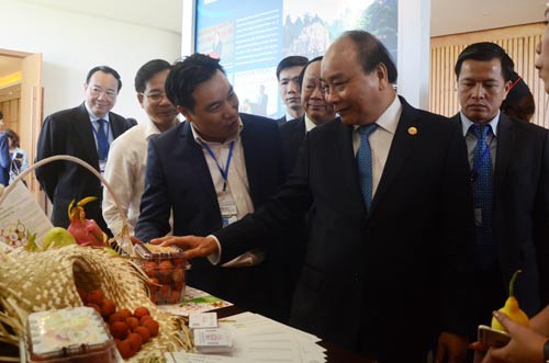 Việt Nam sẵn sàng vì một hành tinh bền vững