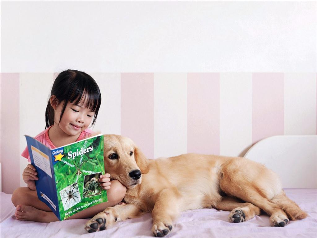 Cẩn trọng khi có vật nuôi trong nhà kẻo tiền tán, bệnh tật - Ảnh 6.