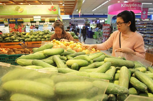 TP HCM: Truy xuất nguồn gốc rau củ