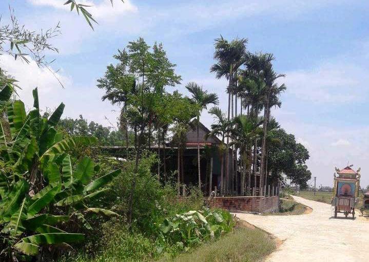 Vợ chết, chồng nguy kịch trong phòng ngủ cháy nồng nặc mùi xăng