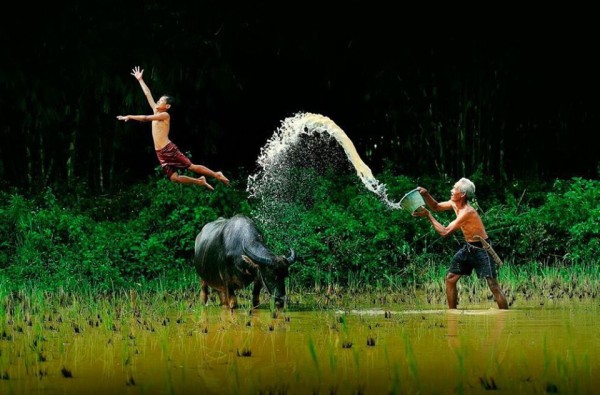 Tuổi thơ mục đồng với những cuộc vui bất tận