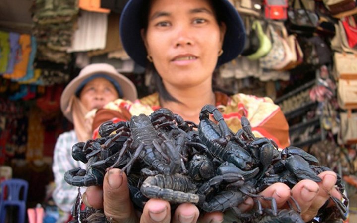 Đặc sản ngon trứ danh: bọ cạp vùng Bảy Núi! - Ảnh 1.