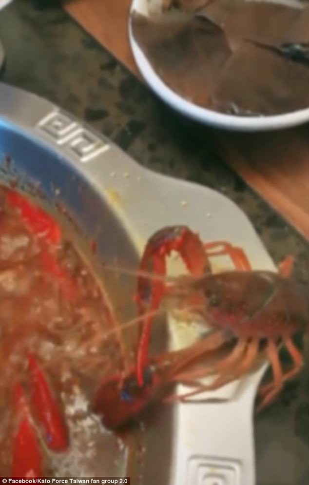 T&ocirc;m h&ugrave;m tự cắt c&agrave;ng để tho&aacute;t khỏi nồi lẩu - Ảnh 1.