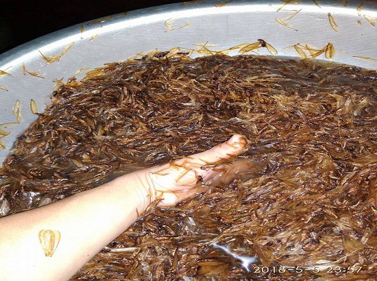Đặc sản c&ocirc;n tr&ugrave;ng ăn l&agrave; nghiện - Ảnh 1.
