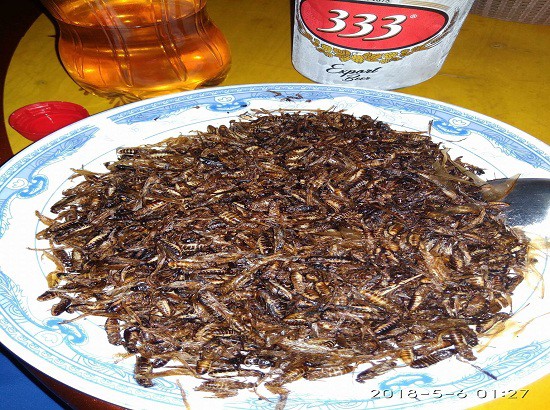 Đặc sản c&ocirc;n tr&ugrave;ng ăn l&agrave; nghiện - Ảnh 3.