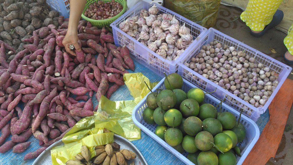 Tỏi c&ocirc; đơn Việt gi&aacute; cao gấp 10 lần h&agrave;ng Trung Quốc, Myanmar - Ảnh 6.