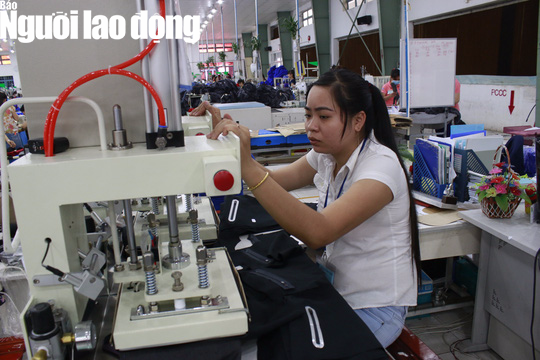 Có được hưởng chế độ ốm đau?