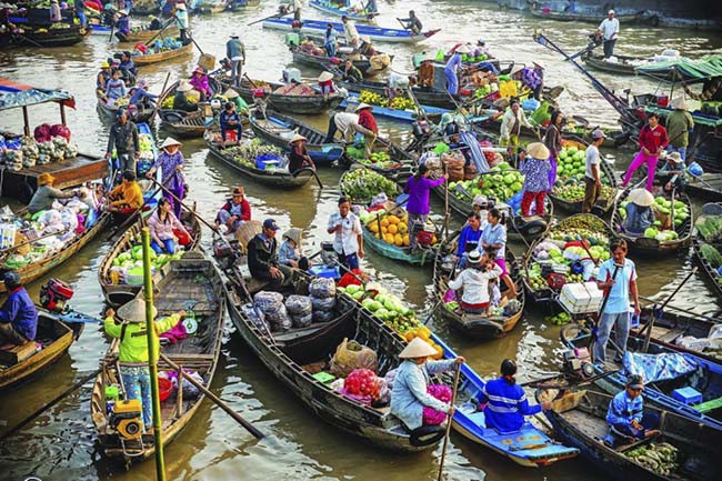 Đến Vĩnh Long để trở về tuổi thơ: Lội ruộng bắt c&aacute;, tr&egrave;o c&acirc;y h&aacute;i quả - Ảnh 3.
