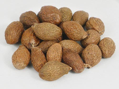 Nhiều cây ươi cỡ lớn bị lâm tặc đốn hạ lấy hạt - Ảnh 1.