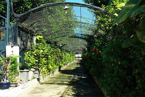 Biệt thự ho&agrave;ng tr&aacute;ng của Nữ ho&agrave;ng ảnh lịch Diễm My - Ảnh 3.
