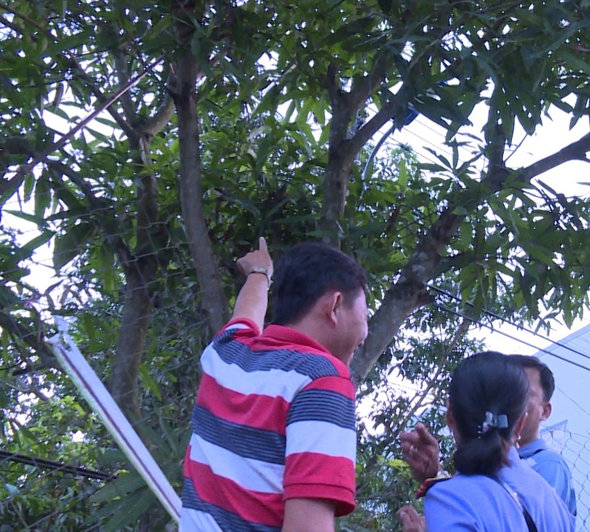 Công nhân bị điện giật tử vong, thi thể treo lơ lửng trên cây