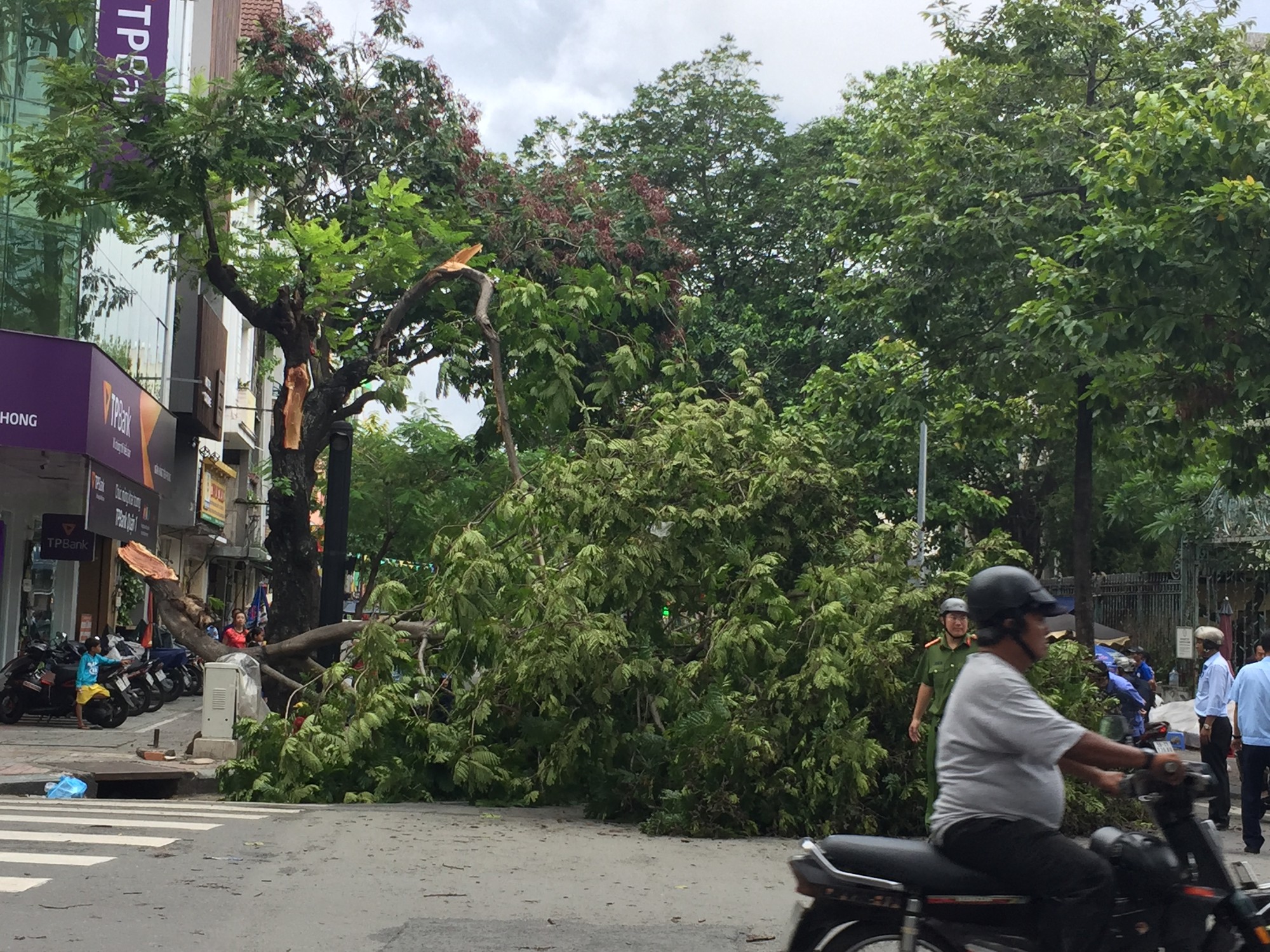 Lốc xo&aacute;y nhiều nơi ở S&agrave;i G&ograve;n, c&acirc;y xanh ng&atilde; rạp, 3 người trọng thương - Ảnh 17.