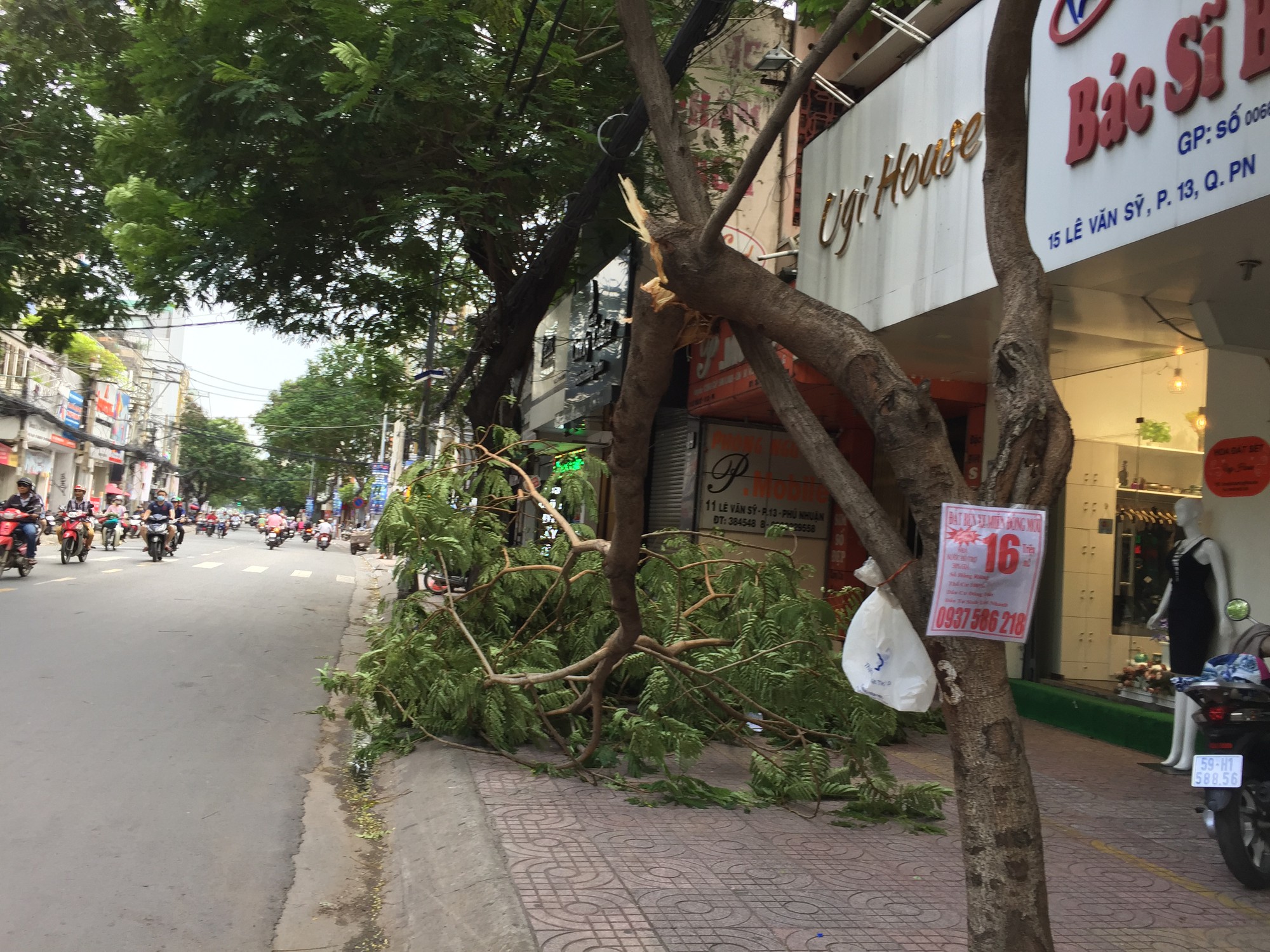 Lốc xo&aacute;y nhiều nơi ở S&agrave;i G&ograve;n, c&acirc;y xanh ng&atilde; rạp, 3 người trọng thương - Ảnh 19.