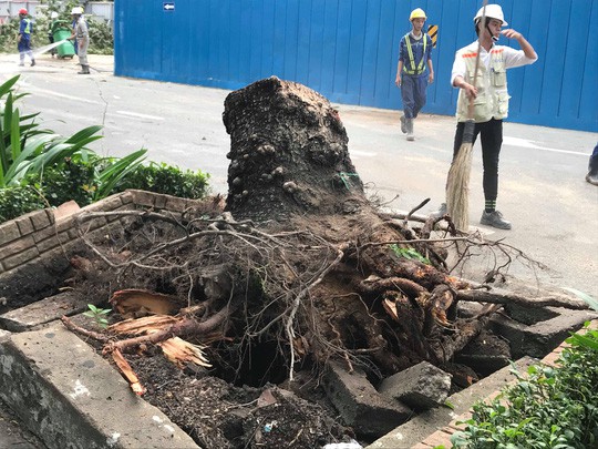 Lốc xo&aacute;y nhiều nơi ở S&agrave;i G&ograve;n, c&acirc;y xanh ng&atilde; rạp, 3 người trọng thương - Ảnh 4.