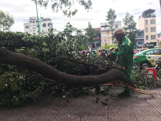 Lốc xo&aacute;y nhiều nơi ở S&agrave;i G&ograve;n, c&acirc;y xanh ng&atilde; rạp, 3 người trọng thương - Ảnh 5.