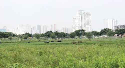 Nở rộ mốt “xí phần” dự án để sang tay kiếm lời - Ảnh 1.