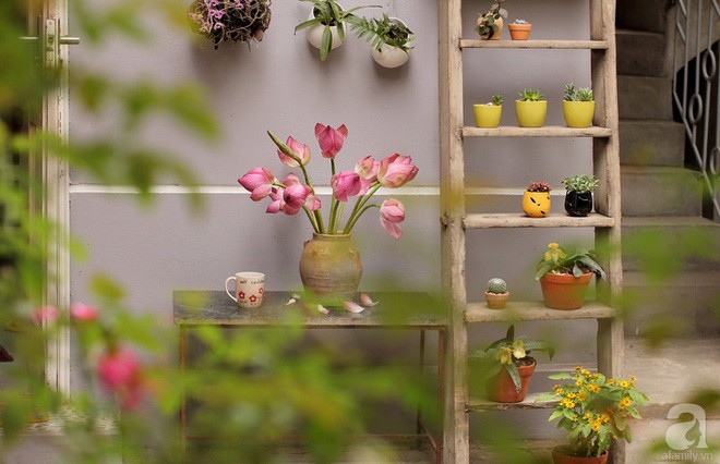 Ng&ocirc;i nh&agrave; g&oacute;c n&agrave;o cũng xinh xắn của một phụ nữ H&agrave; Th&agrave;nh - Ảnh 12.