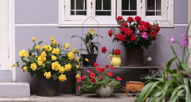 Ng&ocirc;i nh&agrave; g&oacute;c n&agrave;o cũng xinh xắn của một phụ nữ H&agrave; Th&agrave;nh - Ảnh 3.